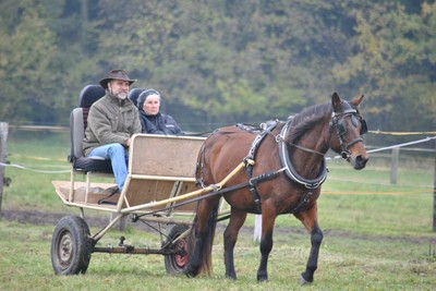 Hubert 2011