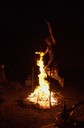 DSC_8613.jpg